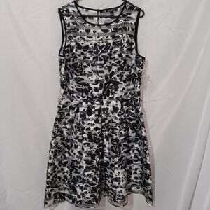 Roz & Ali Fit Flare Spring Dress Black White Floral Size 16 NWT